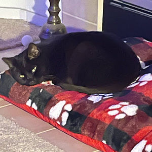 Meet your Posher, Kathy